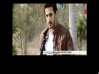 Sayesha Saigal confirmed as heroine in Akhil's debut movie - Sakshi