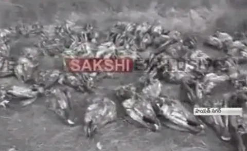Adulterated oil gang bursted in hayatnagar - Sakshi