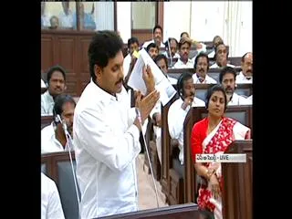 ys jagan mohan reddy slams chandrababu naidu - Sakshi