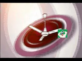 Avakaya Biryani 8thJuly 2015 - Sakshi