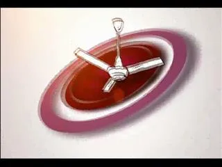 Avakaya Biryani 20thJuly 2015 - Sakshi