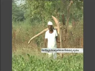 farmers facing new problems on crop loan waiver - Sakshi