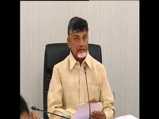 Chandrababu Naidu holds video-conference - Sakshi