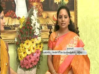 Sakshi Special Interview with MP Kavitha - Sakshi
