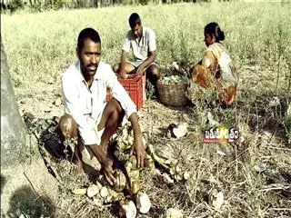 Batukuchitram 31st May2015 - Sakshi