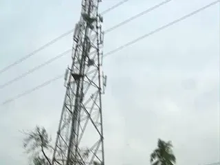 Health problems from Cell Phone Tower Radiation - Sakshi