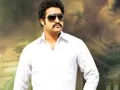 NTR to act as Gona Ganna Reddy in Rudramadevi - Sakshi
