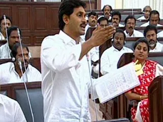 chandra babu seeds does not reap, says ys jagan mohan reddy - Sakshi