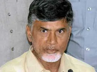 need proof of loss to get relief, says chandra babu - Sakshi