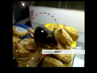 Rat eating Cake in popular bakery shop - Sakshi