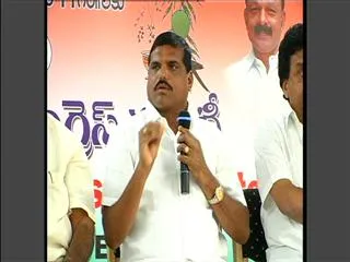 We will lose in assembly elections too : Botsa - Sakshi