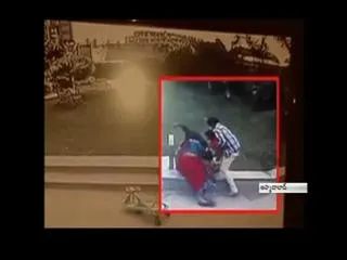 Brave Boy saves his sister from a German Shepperd - Sakshi