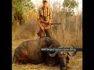 Brett Lee dragged into hunting contoversy - Sakshi