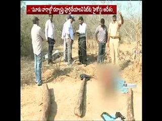 Seshachalam Encounter || Interagation completes With In Three weeks says high court - Sakshi