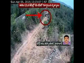 Chittoor Encounter: Red Sandalwood Smuggling- CCTV Footage - Sakshi