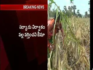 Bankers questions Chandrababu Naidu over Crop Insurance - Sakshi