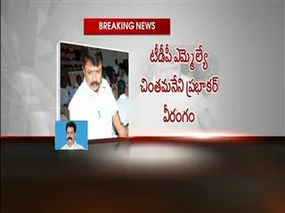 MLA Chintamaneni Prabhakar attacks On Lady MRO in Krishna district - Sakshi