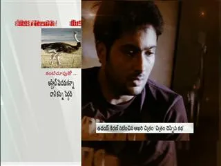 uday kiran's last movie chitram cheppina katha audio launch - Sakshi