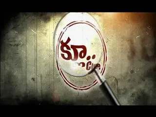 Clue...! 1st Dec 2014 - Sakshi