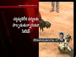 Petition filed against MPs over cockfights in West Godavari - Sakshi