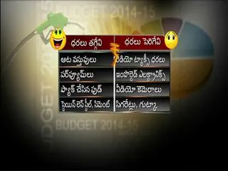 arun jaitley presents union general budget in lok sabha - Sakshi