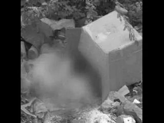 Negligence of Municipal staff - Sakshi