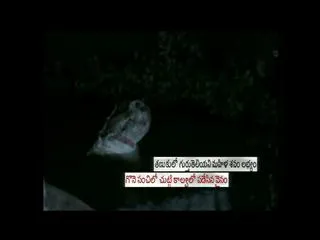 Woman found dead in canal yet to be identified - Sakshi