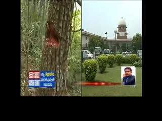 The petition to give 1 Crore to the families of the dead - Sakshi