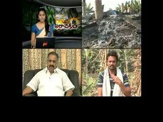 Strangers burn Guntur Farmer lands over Opposing Land Pooling - Sakshi