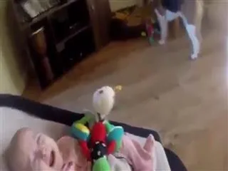 Guilty dog apologizes baby for stealing her toy - Sakshi