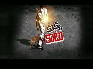 Mad Dog bite students in Hyderabad - Sakshi