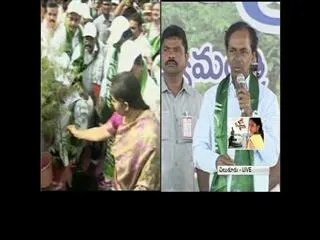 kcr-tells-mosquito-story-in-haritha-haram-meeting - Sakshi