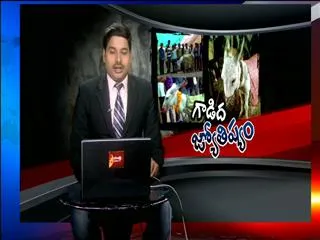 Donkey tells Astrology in Rajasthan - Sakshi