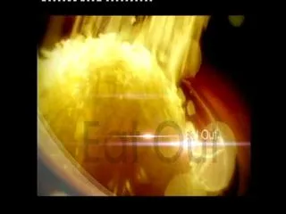 Eat Out 29thJuly 2015 - Sakshi