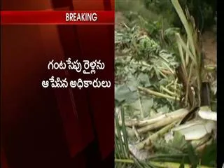 Tension prevailed after elephant create havoc in Chittoor. - Sakshi