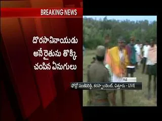 Farmer Killed in Elephant Attack - Sakshi
