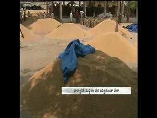 No Support price of paddy - Sakshi