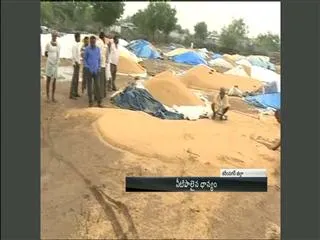 Unseasonal Rains Crop Damage In Karimnagar - Sakshi