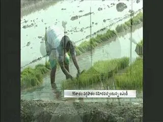 Good news for farmer in this year - Sakshi