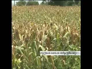 Farmers facing problems due to lack of Power in telangana - Sakshi