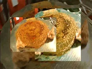 Great Indian Food Bajar in Hitex Part -2 || Special Edition 28thJune 2015 - Sakshi