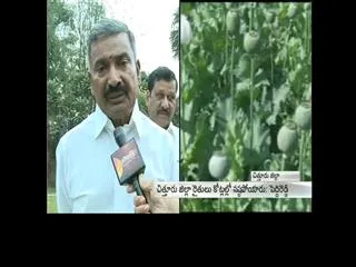 YSRCP leader Peddireddy slams AP CM Chandrababu - Sakshi