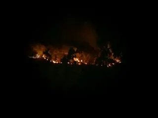 Fire Rages in Seshachalam Forest - Sakshi