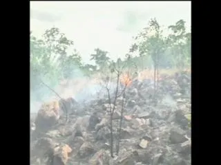 Fire in Seshachalam forest - Sakshi