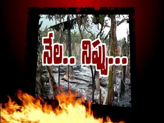 Fourth estate : Strangers burn Guntur Farmer lands - Sakshi