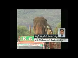 Operation Gaja in vijayanagaram - Sakshi