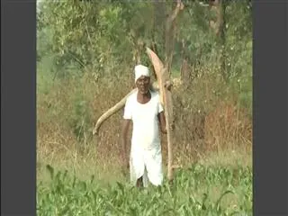 Previously waived the loan may - Sakshi