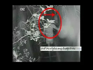 Habsiguda dongala halchul - Sakshi