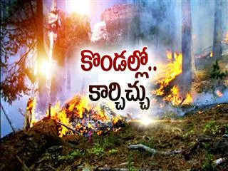 three helicopters trying to defuse wildfire in tirumala - Sakshi