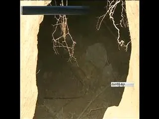 Huge Tunnel Broke Out in Rangareddy - Sakshi